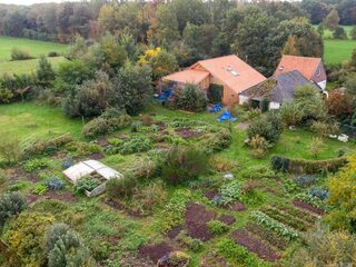 Massahuwelijken en wereldvrede: wat weten we allemaal over de Moonsekte?