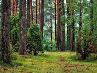Exotische producten van Nederlandse bodem