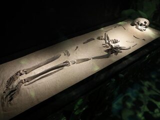 Ga kijken naar Nederlands oudste vrouw