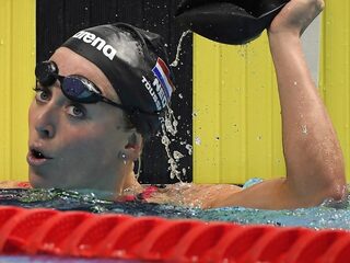 Waar komen die zwemzeges ineens vandaan?