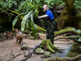 De dierentuin is meer dan aapjes kijken