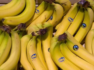 Podcast De Dag: geen zin, tijd of geld? Zo kan iedereen gezond eten