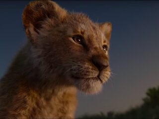Waarom 'The Lion King' een "fascistisch en racistisch" verhaal is