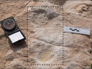 120.000 jaar oude voetstappen Homo sapiens gevonden in Midden-Oosten