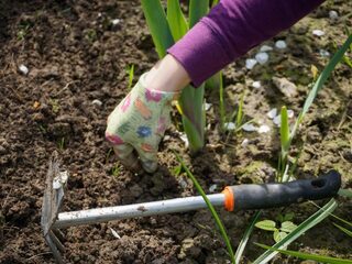 Tips voor een duurzame tuin