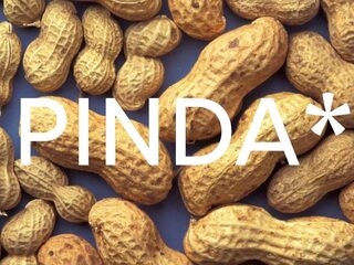 Indische gemeenschap stapt in de spotlights met glossy PINDA*