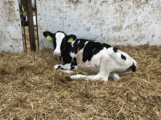 Boeren voelen zich niet gewaardeerd