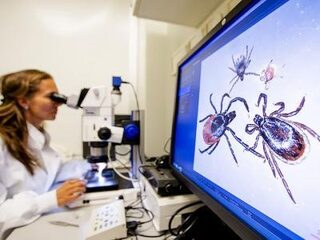 Groot landelijk onderzoek naar teken (en wat kan je zelf doen?)