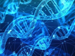 Commerciële dna-databanken: weet waar je voor tekent