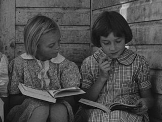 De beste geschiedenisboeken van 2020