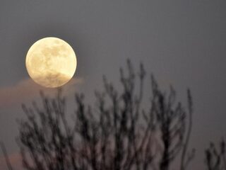 De eerste volle maan in de lente valt niet samen met Pasen