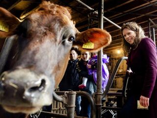 Kliklijn om machtsmisbruik supermarkten aan te pakken
