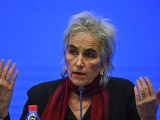 Marion Koopmans: 'COVID-19 mogelijk al 45 jaar oud vleermuizenvirus'