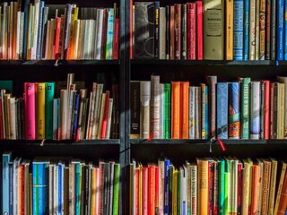 Hoogleraar Laaggeletterdheid: 'We vinden het moeilijk om basale woorden te gebruiken'