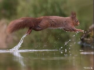 5 foto’s die de lente perfect vastleggen