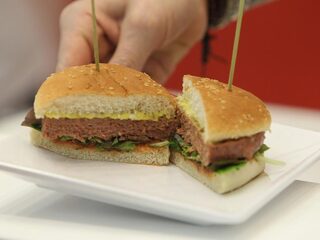 #TrendingVandaag: een rechtszaak om een veganburger en de zangcarrière van een nieuwe tv-presentatrice