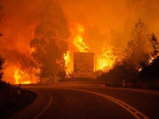 Nederlander gevlucht voor de bosbrand: 'Het lijkt een zwarte woestijn'