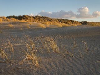 Definitief akkoord over bebouwing aan de kust