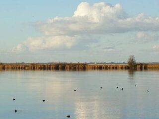 Nederland heeft er een nieuw eiland bij
