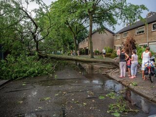 Dit is waarom het in West-Brabant vaker onweert dan in de rest van het land