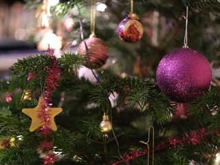 Moeilijk: een kerstboom waar de naalden niet van uitvallen