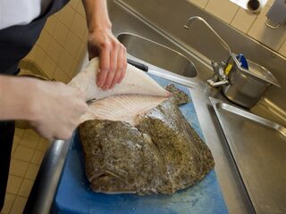 Wat De Boer Schaft op bezoek bij een viskwekerij