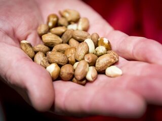 Hoe dodelijk is een pinda-allergie?