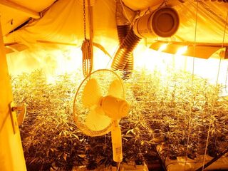 Burgemeester wil geen crimefighter zijn