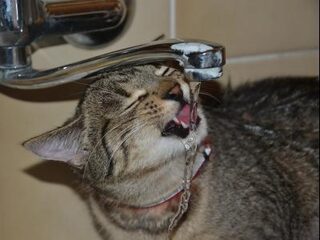 Waterschapsbelasting stijgt: consument meer geld kwijt