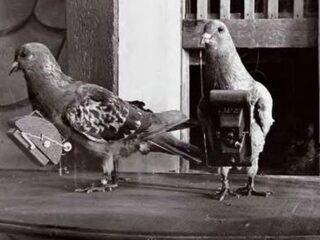 De duif: CIA-spion en oorlogsheld