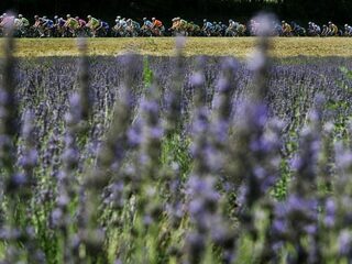 Etappe 19: 222,5 kilometer door karakteristieke dorpen en prachtige lavendelvelden