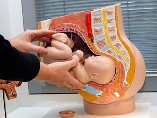 Dit zijn de vier grootste veranderingen in 35 jaar gynaecologie