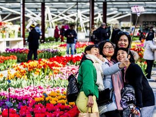 Stand.nl: De groeiende toeristenstroom moet gestopt worden