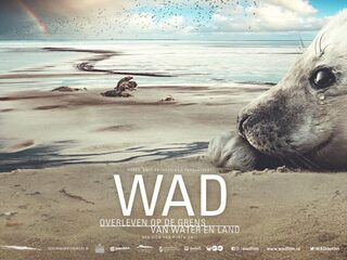 Waarom je deze natuurfilm niet mag missen