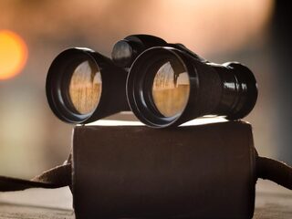 'De wulpse rondingen van een verrekijker'