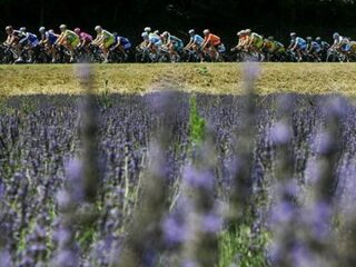 Uitgelicht | Etappe 19: van Embrun naar Salon-de-Provcence