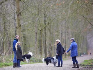 Hoe het zit met het coronavirus en huisdieren?