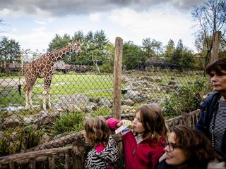 'Zorg van dieren in dierentuinen in gevaar'