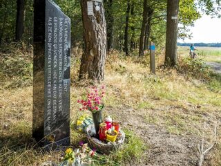 Media eisen dat ze besloten schouw zaak-Nicky Verstappen mogen filmen