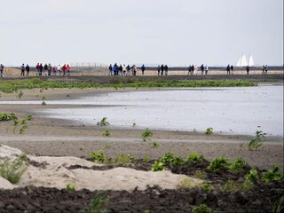 Niet iedereen is welkom op de nieuwe Marker Wadden