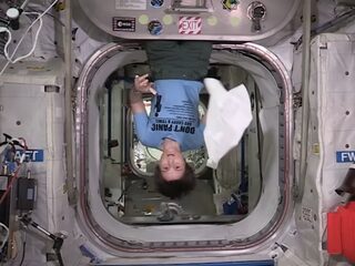 TrendingVandaag: #towelday