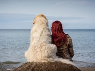 Honden laten zich makkelijker trainen door extravert baasje