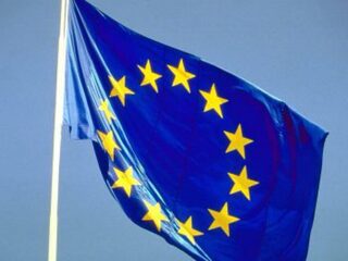 'Europees Parlement heeft coronacrisis onderschat en was meer bezig met Green Deal'