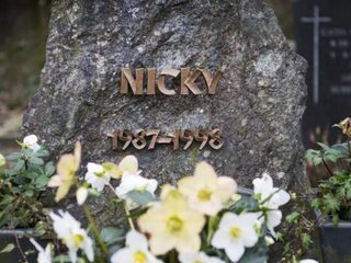 20 jaar na dood Nicky Verstappen (11) doorbraak in onderzoek