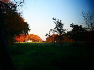 Eindelijk: de ontknoping van de ontluisterende serie Onland