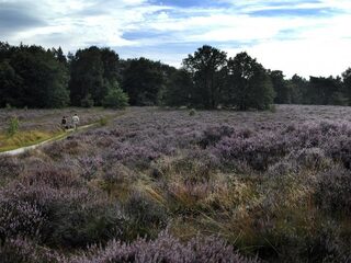 Drukte op de stranden en in de parken? Hier kom je geen mens tegen