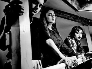 Jurgens Plaat: Black Van - Kitty, Daisy & Lewis