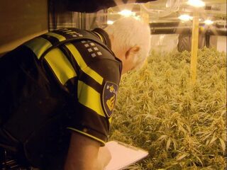 'Gewone Albanezen balen ook van criminele bendes'