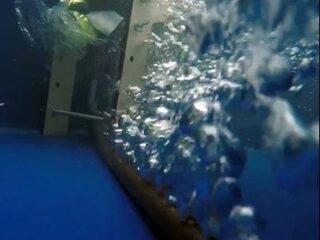 The Great Bubble Barrier als oplossing voor plasticsoep