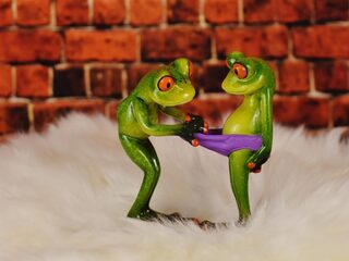 Hoe tevreden ben jij met je geslachtsdeel?